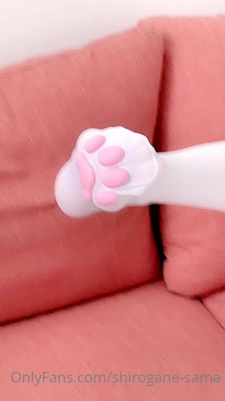 [Image: 68471f1a17237.jpg]