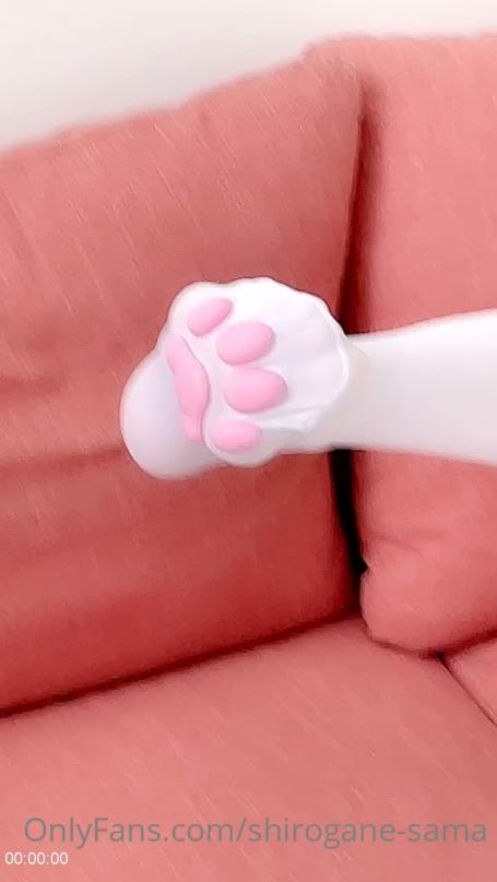 [Image: 69764290da2ed.jpg]