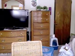 [Image: 6999900f816cc.jpg]