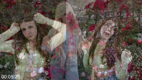 [Image: 69a859709f98d.jpg]