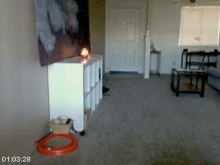 [Изображение: 69a85bafc7de9.jpg]