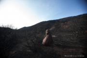 through_the_ashes_0005.jpg image hosted at ImgAdult.com
