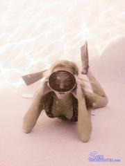 adrianna_vint-dive-002.jpg image hosted at ImgAdult.com