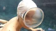 ali_may_vint-masks-046.jpg image hosted at ImgAdult.com