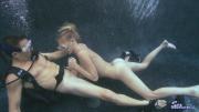 tradeoff-039.jpg image hosted at ImgAdult.com