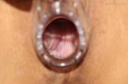 201.jpg image hosted at ImgAdult.com