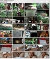 Jill Kassidy (Virtual Vacation Singapore 3/9) (2019) HD 1080p Jill Kassidy (Virtual Vacation Singapore 3/9) (2019) HD 1080p