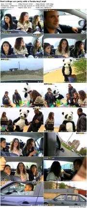 Real college sex party with a Panda-boy1_preview.jpg image hosted at ImgAdult.com