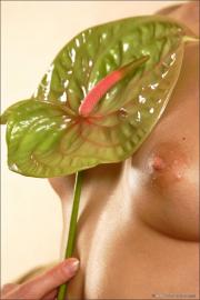 [Image: 60fe9e9833f7e.jpg]