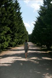 [Image: 61053e42d81a2.jpg]