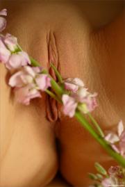 [Image: 6120143299d45.jpg]