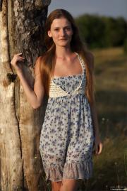 [Image: 612018720a110.jpg]