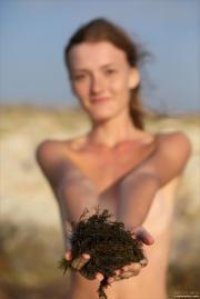 [Image: 612022ed6ab43.jpg]