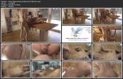 Horny Indian Amateur Fucked on the Table Part 1.mp4.jpg image hosted at ImgAdult.com
