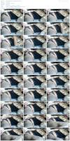 therealtobywong - Onlyfans (61).mp4.jpg image hosted at ImgAdult.com