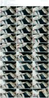 therealtobywong - Onlyfans (62).mp4.jpg image hosted at ImgAdult.com