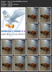 Vids_FF_HugeTittyNRIBabe (13).mp4.jpg image hosted at ImgAdult.com