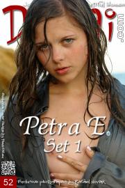 000petreset1.jpeg image hosted at ImgAdult.com
