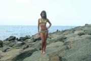 silvermoon-emily-bikini-4-003-standard.JPG image hosted at ImgAdult.com