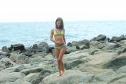 silvermoon-emily-bikini-4-023-standard.JPG image hosted at ImgAdult.com