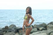 silvermoon-emily-bikini-4-032-standard.JPG image hosted at ImgAdult.com
