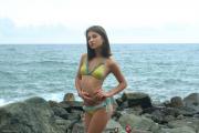 silvermoon-emily-bikini-4-128-standard.JPG image hosted at ImgAdult.com
