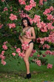 tcg-pamela-011-52.jpg image hosted at ImgAdult.com