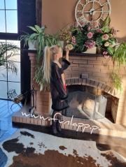 [Image: 691fe29e4f9c0.jpg]