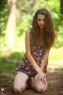 [Image: 69305d92aa840.jpg]