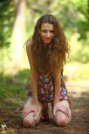 [Image: 69305d947eebe.jpg]