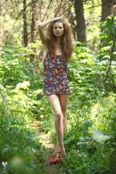 [Image: 69305e04da897.jpg]