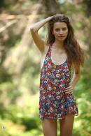 [Image: 69305e1cb8067.jpg]