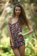 [Image: 69305e316dcb4.jpg]