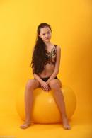 [Image: 698d5a10ddc7e.jpg]