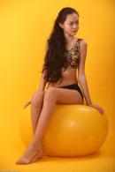 [Image: 698d5a119594e.jpg]