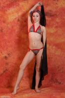 [Image: 698dde5b2ac23.jpg]