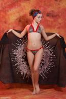 [Image: 698dde5be9036.jpg]