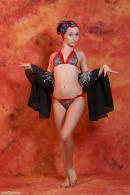 [Image: 698dde5ca8a9e.jpg]