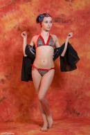 [Image: 698dde5e313c0.jpg]