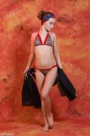 [Image: 698dde5ee2989.jpg]