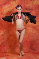 [Image: 698dde5fa3dd1.jpg]