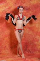 [Image: 698dde6b9b9e4.jpg]