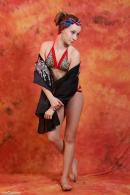 [Image: 698dde7bc9a14.jpg]