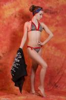 [Image: 698dde8070703.jpg]