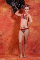 [Image: 698dde81deda9.jpg]