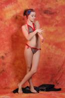 [Image: 698dde8439b1a.jpg]