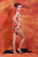 [Image: 698dde8a133ba.jpg]