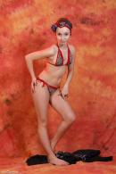 [Image: 698dde92b0f1b.jpg]