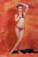 [Image: 698dde966d413.jpg]