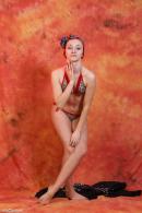 [Image: 698dde9729888.jpg]